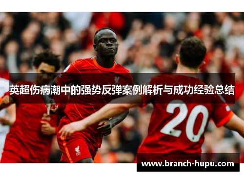 英超伤病潮中的强势反弹案例解析与成功经验总结
