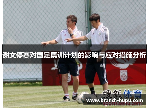 谢文停赛对国足集训计划的影响与应对措施分析 谢文停赛对国足集训计划的影响与应对措施分析