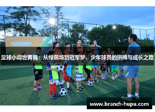 足球小将世青篇：从绿茵场到冠军梦，少年球员的拼搏与成长之路