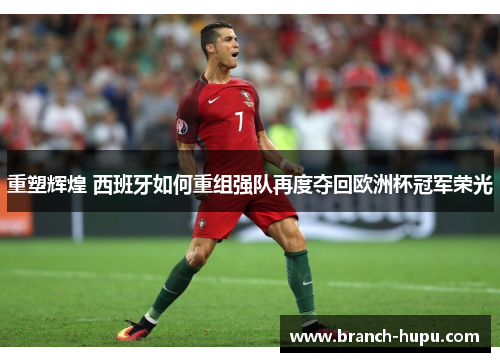 重塑辉煌 西班牙如何重组强队再度夺回欧洲杯冠军荣光