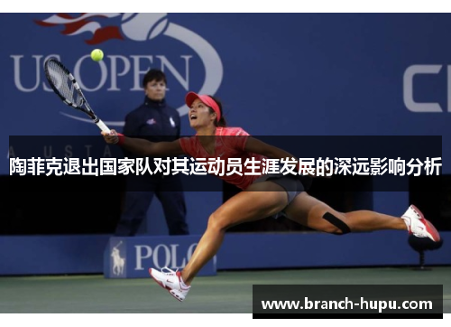 陶菲克退出国家队对其运动员生涯发展的深远影响分析