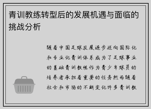 青训教练转型后的发展机遇与面临的挑战分析