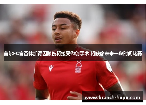 首尔FC官宣林加德因膝伤将接受微创手术 将缺席未来一段时间比赛