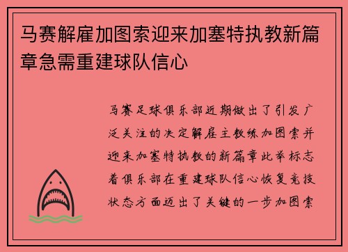 马赛解雇加图索迎来加塞特执教新篇章急需重建球队信心