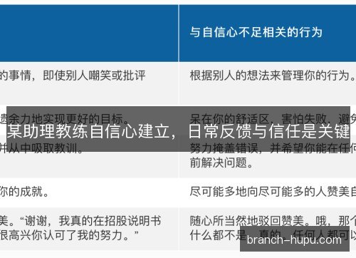 某助理教练自信心建立,日常反馈与信任是关键 某助理教练自信心建立,日常反馈与信任是关键